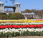 群馬県前橋市の風景
