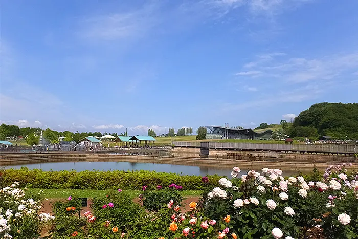 国営越後丘陵公園