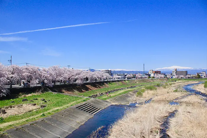 山形市内