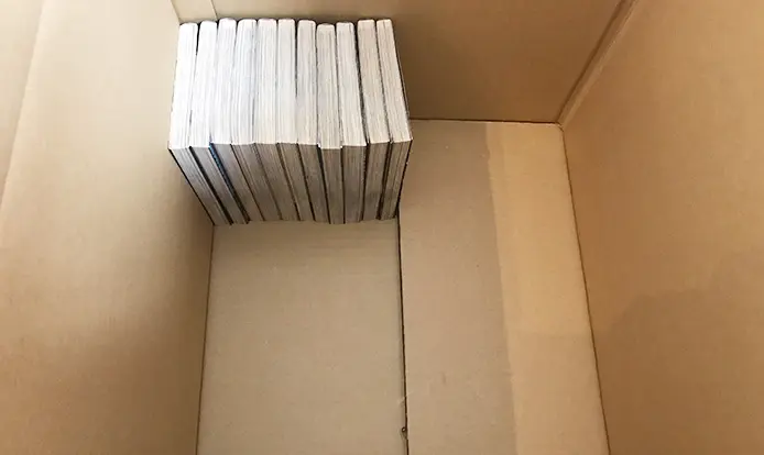 新書判を入れた様子